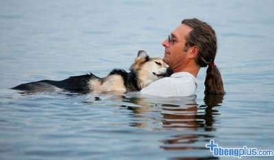 Pemilik anjing ini selalu membawa ke sebuah danau untuk memulihkan anjingnya