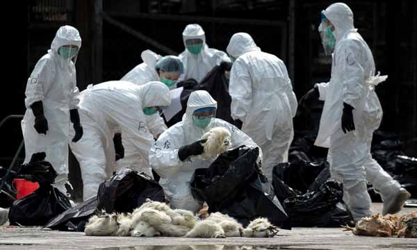 Pemerintah China tahan sampel virus flu berbahaya